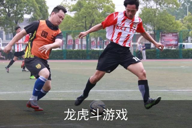 龙虎斗游戏公司介绍图片